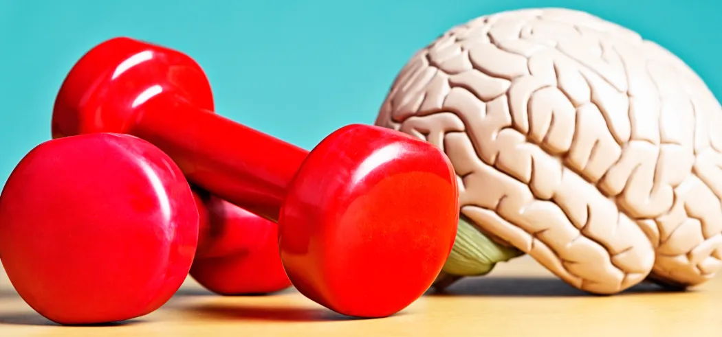 weights and brain