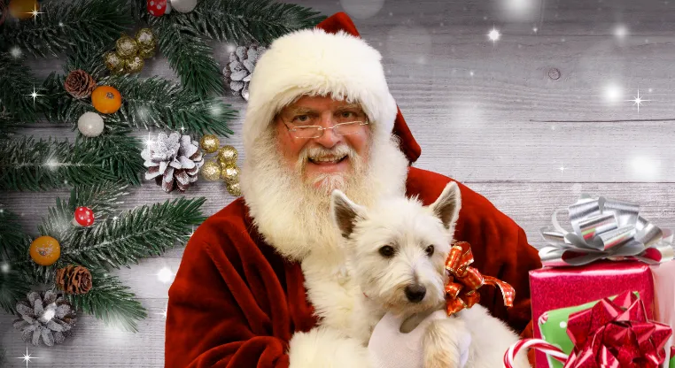 santa