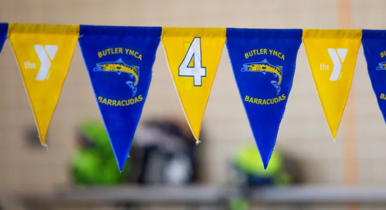 swim flags