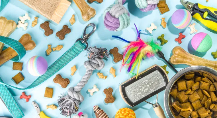 pet toys